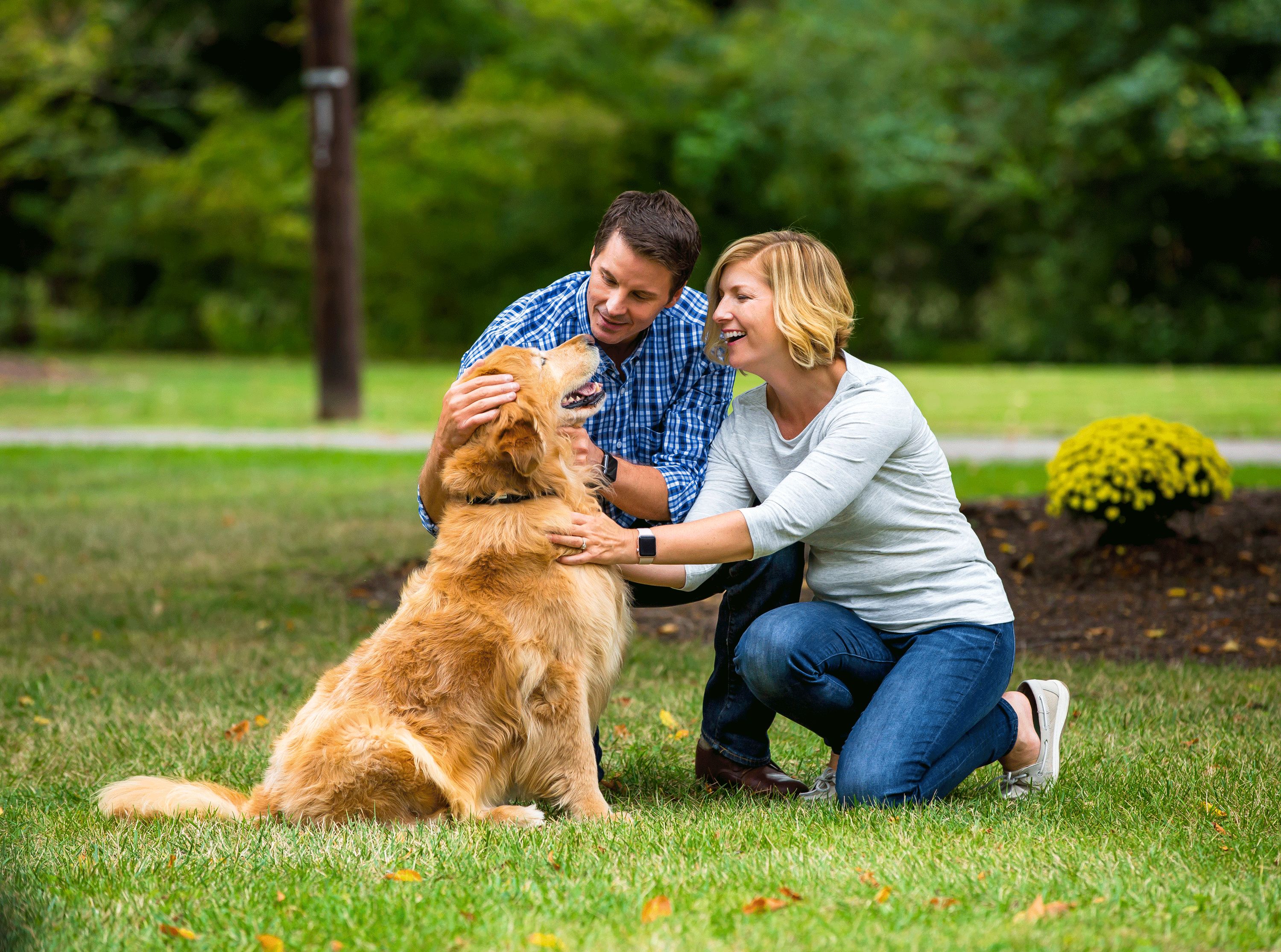 Starting at 399 Self Installed Pet Stop by Dog Fencing Systems
